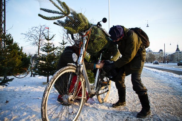 Novinka & akce-Dovezte si domů vánoční stromeček na kole
